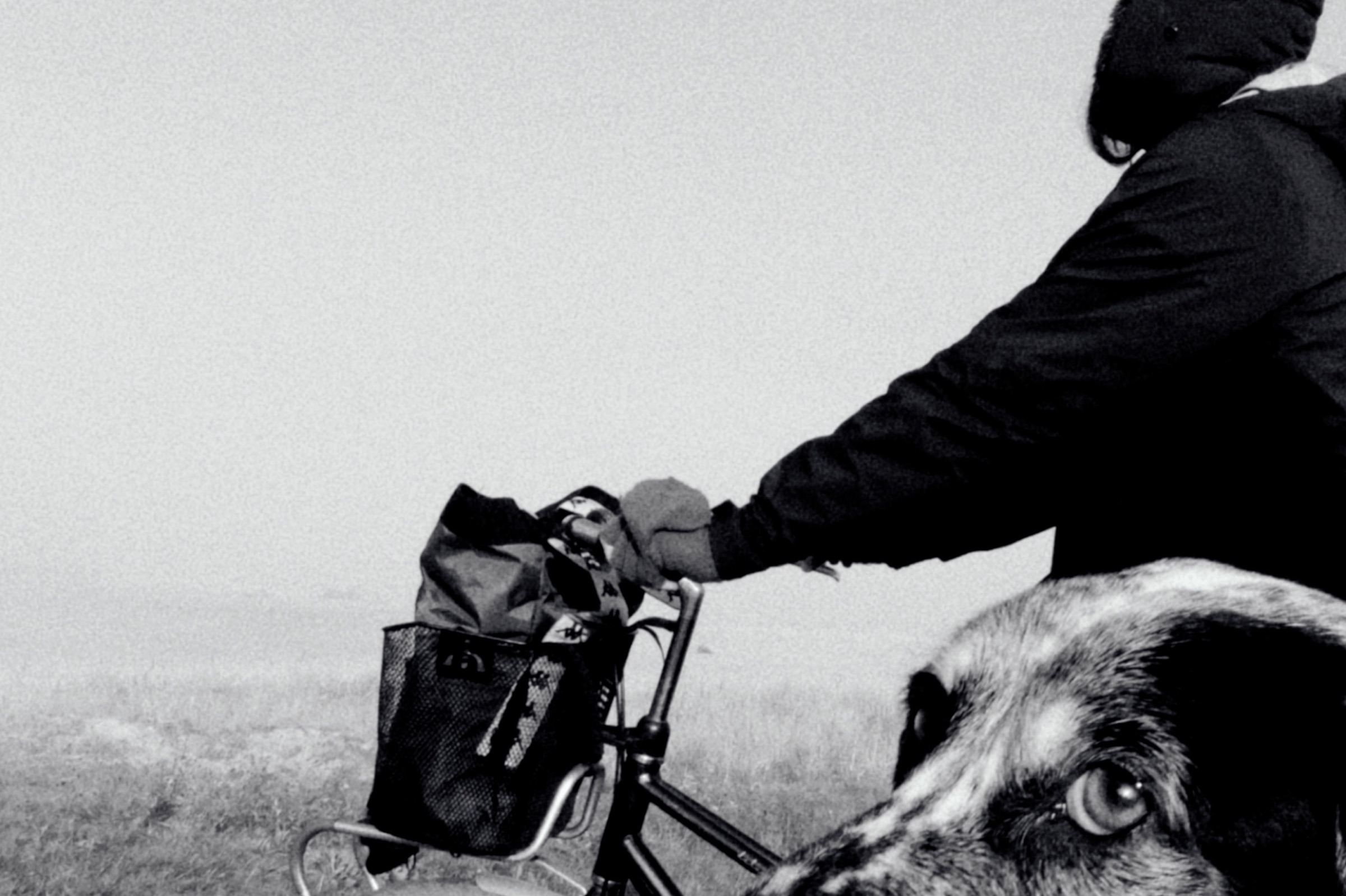Ciclista con perro avanzando por un camino en niebla